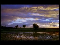 WA Barren African landscape at dusk, Botswana Stock Footage