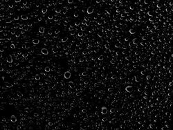Rain Drops Stock Footage