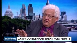 Desai: U.K. Doesnâ€™t See Complications of Brexit Divorce News Clip