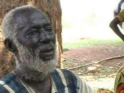 The Art of Making Balafons: A Musical Tradition from Ivory Coast to Paris News Clip