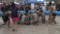 CLEAN : Tens of thousands of tourists flock to SKorea's mud festival News Clip