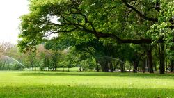 Group of People Relaxing in Green Park Stock Footage