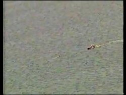 Lucky escape for six as small plane crashes in sea Instructional Video