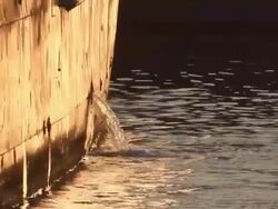 Drainage into water. Stock Footage