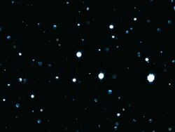 Glitter Flight Background Loop Stock Footage