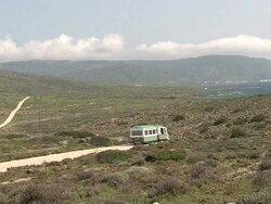 CLEAN: Italian island once a jail for Mafiosi, now heaven for donkeys News Clip