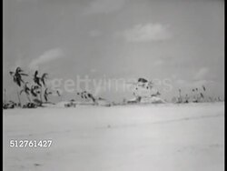 1943: BETIO, TARAWA: US NAVY SEEBEES FINISH: CU Steam roller moving. WS TRACKING Grumman F6F 'Hellcat' fighter aircraft on approach & landing on airstrip. MS US Marines shaking hand of unidentified Navy pilot, MS Pilot smiling.  World War II. WWII. Instructional Video