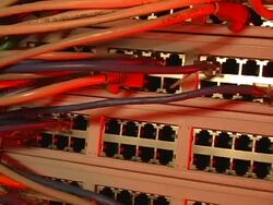 Ethernet Stock Footage