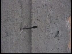 Middle East - Israeli Darts-Shell Kills Sisters Instructional Video