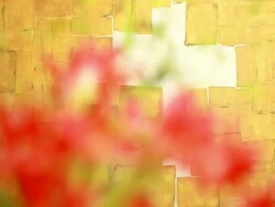 Offering Flowers to God, Sign of memorial piece Stock Footage