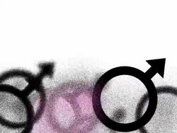 MALE : one rosa, white back - (LOOP) Stock Footage