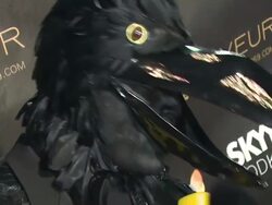 Heidi Klum's 10th Annual Halloween Party Stock Footage