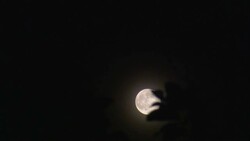 A full moon glows in the night sky. Stock Footage