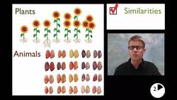 LS3B - Variation of Traits Instructional Video