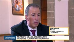 Mexico Focused on Economic Areas It Can Control: Meade News Clip