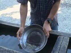 Panning For Gold Stock Footage