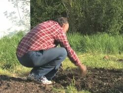 NTSC:Garden Work Stock Footage