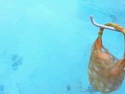 Boiled eggs in hot spring. Stock Footage