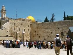 MS PAN Shot of tourist roaming at Western Wall in old city / Jerusalem, Judea, Israel Stock Footage