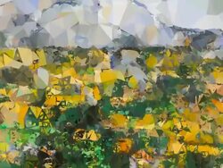 series transcendental fields : from provence (TRANSITION) Stock Footage