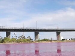 WS TD View of bright red algal bloom near Westgate Bridge, Yarra River / Melbourne, Victoria, Australia Stock Footage