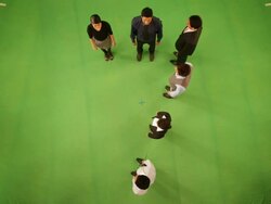 Business people forming number seven Stock Footage