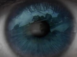 zoom to nature through eye Stock Footage