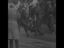 SYND 27 3 68 RIOTS AND PROTESTS IN BELGIUM BEFORE THE GENERAL ELECTION News Clip