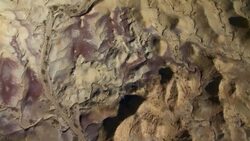 Oxidized manganese brings a maroon hue to the Rattlesnake Badlands, Big Bend National Park, Texas. Stock Footage