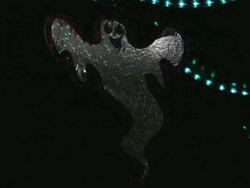 Halloween. Very scary. Horror decorations. Stock Footage