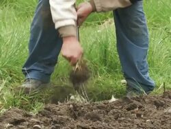 PAL: Farmer Stock Footage