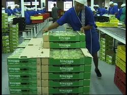 RR0212/A  South Africa: Land News Clip