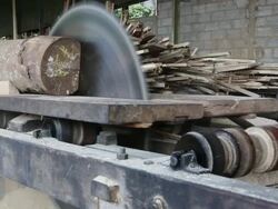 Saw mill Stock Footage