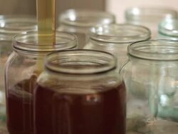 Pouring honey into jars Stock Footage