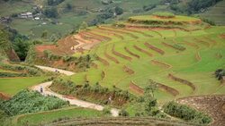terraced rice field in Sapa, Vietnam Stock Footage