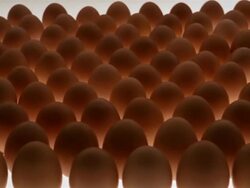 CU, Hand picking up egg Stock Footage