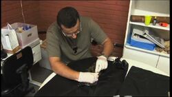 Pet monkeys threaten native species in Brazil News Clip