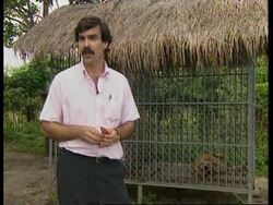 CAMBODIA: INTERNATIONAL CONFERENCE TO PRESERVE TIGER STOCKS News Clip