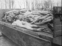 Buchenwald and Bergen-Belsen Concentration Camps Stock Footage
