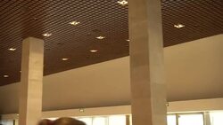 John Bercow and Knesset speaker Yuli Edelstein News Clip