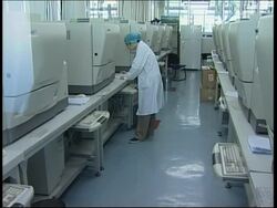 Chinese lab process DNA samples of tsunami victims News Clip