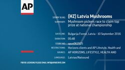 Mushroom pickers race to claim top prize at national championship Instructional Video