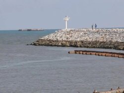 Dad and son at estuary Stock Footage