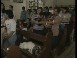 VOICED Pet owners take their animals to be blessed in Church News Clip