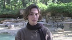 Female penguins form close attachment and build nest together News Clip