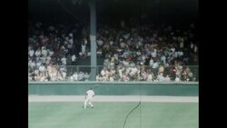 News Item (e3b85655-fb56-fe74-5dd5-a8d41d2661ab) Instructional Video