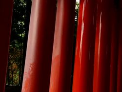 CU TU Shot of poles of Inari Gate / Fushimi ku, Kyoto, Japan. Stock Footage