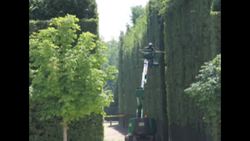 A Message in a Garden Instructional Video