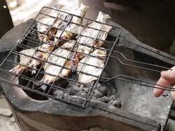 Grilled fish. Stock Footage
