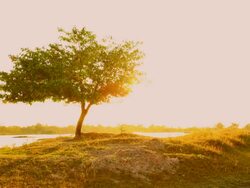 Sunset Timelapse Stock Footage